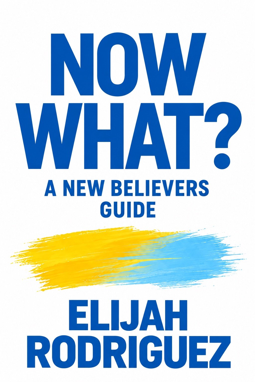 Now What? A New Believer&rsquo;s Guide book cover